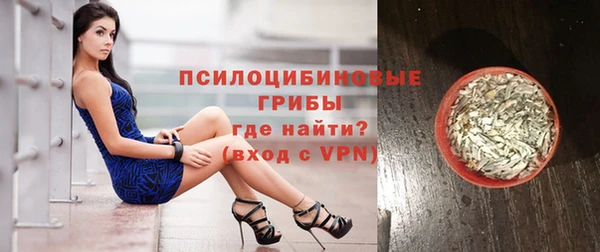 spice Алзамай