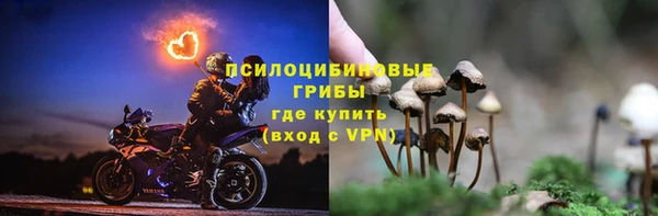 PSILOCYBIN Алексин