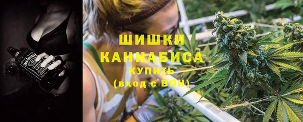 spice Алзамай