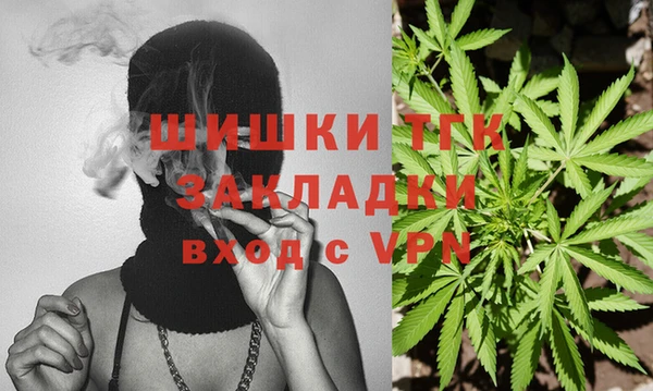 spice Алзамай