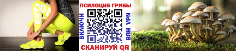 blacksprut ссылки  Лихославль  Галлюциногенные грибы прущие грибы 